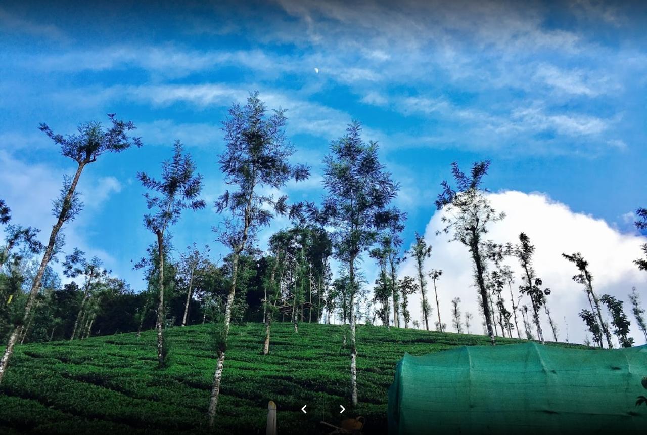 Oxyfarm Resorts Wayanad Exterior foto